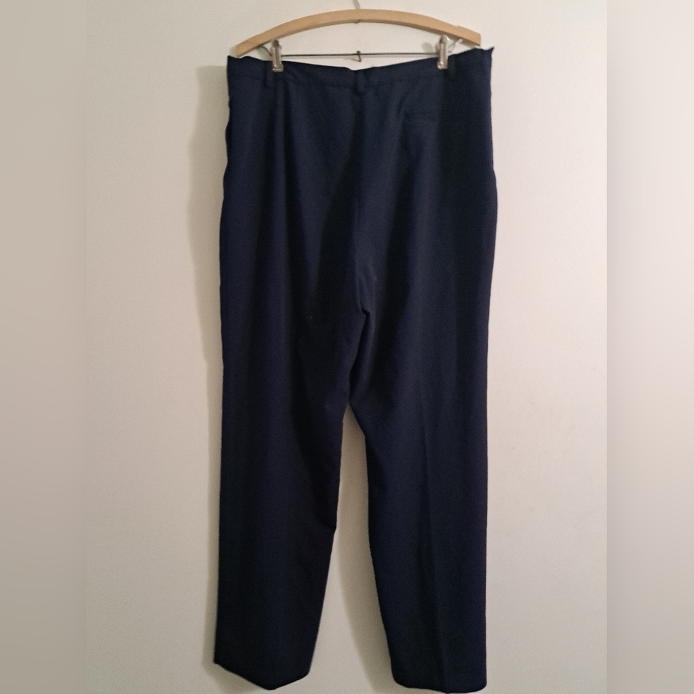 Pendleton Pants - image 2